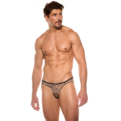 GH透视透明网纱蛇纹低腰三角内裤