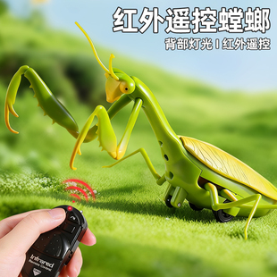 2026年新款红外遥控仿真螳螂玩具3岁5男孩会动会走路的昆虫小动物