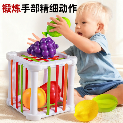 【锻炼手部精细】水果塞塞乐玩具