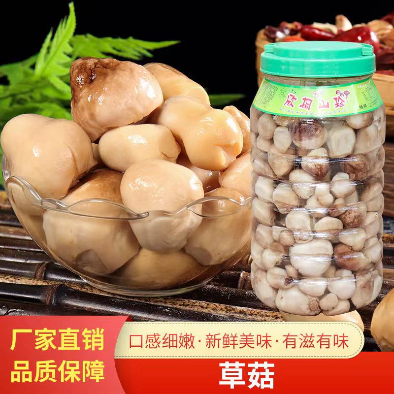 欣桐清水草菇食用菌 3000g*4桶蘑菇滑菇鲍鱼菇牛干菌等批量发