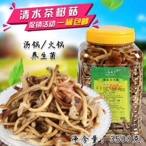 【广威食品】清水茶树菇3500g 野生菌蘑菇食用菌口感好批量发包邮