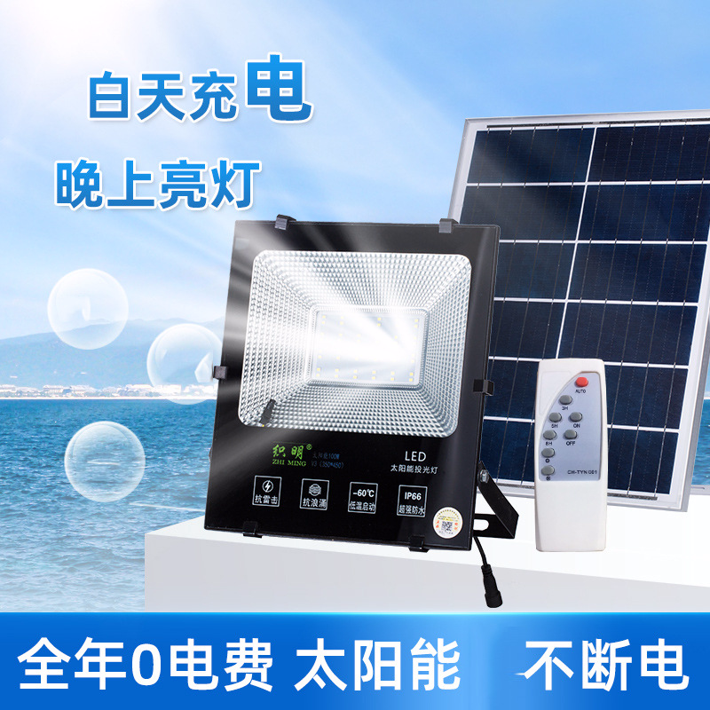 亚明照明太阳能户外防水街灯新农村家用超亮投泛光灯路灯庭院灯