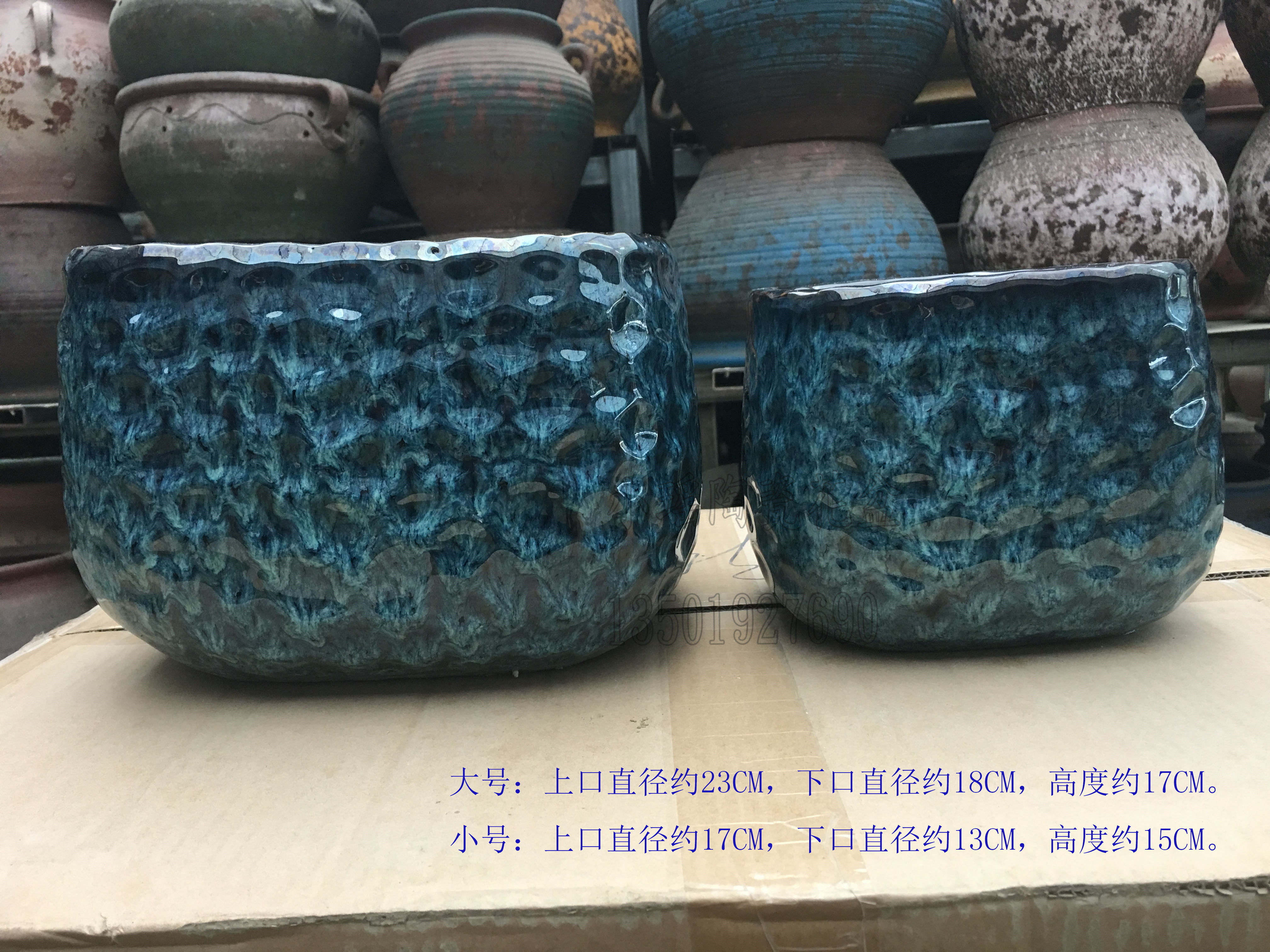四方孔雀蓝一品红豆瓣绿绿萝吊兰