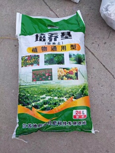 虎皮兰绿萝发财树幸福树龙须木散尾葵袖 珍椰子植物通用型营养土