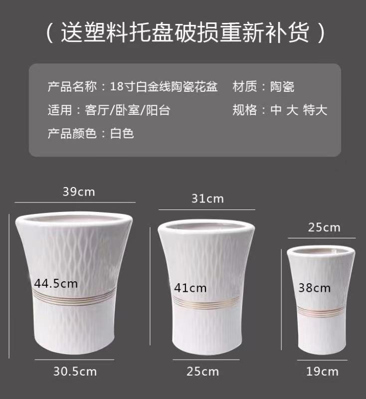 白色树皮纹幸福树平安树散尾葵绿萝发财树特大号大号陶瓷花盆