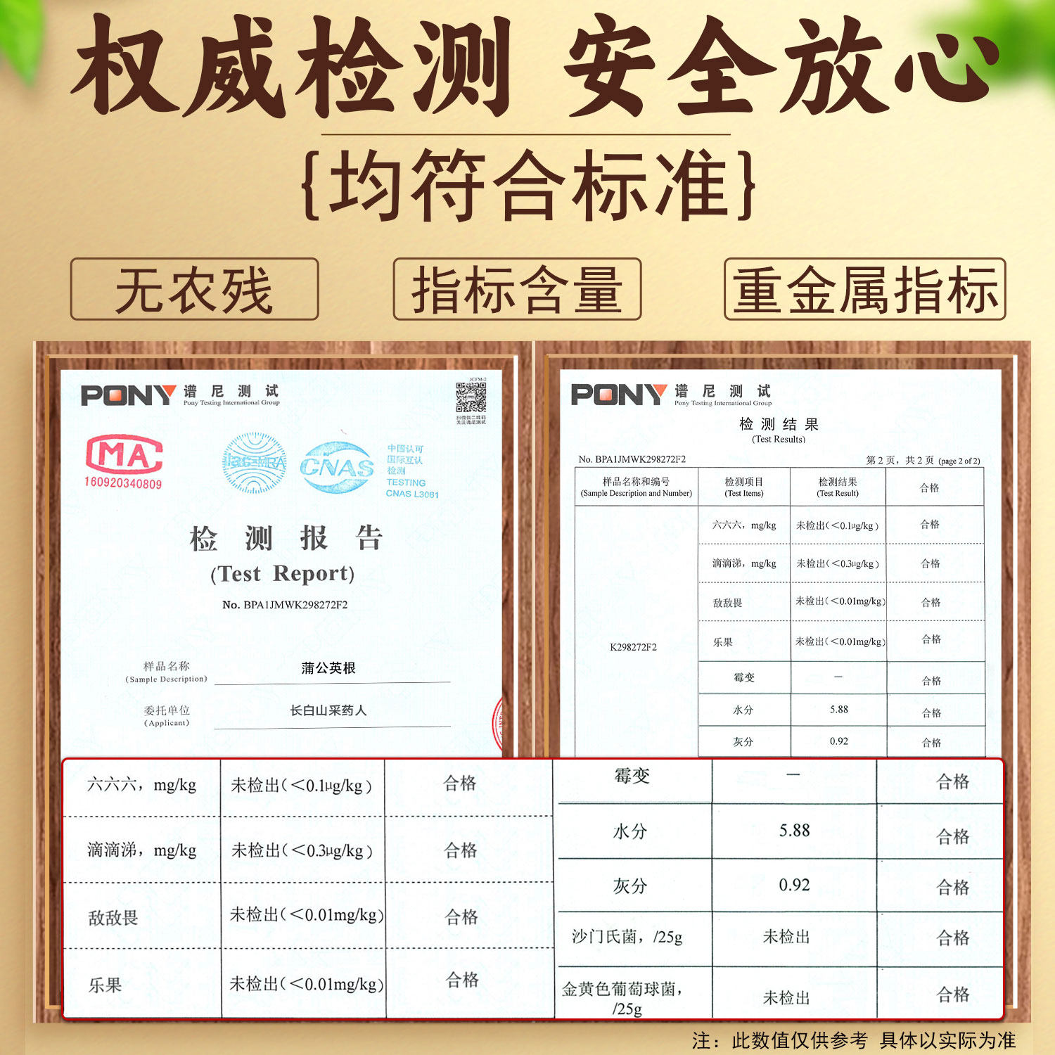 蒲公英根正品特级切片野生婆婆丁茶蒲公英中药材泡水非养肝护肝茶