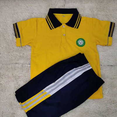 东莞市樟木头镇中心小学夏秋冬季校服 园服 短袖学院