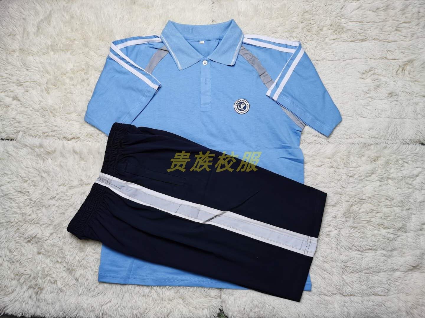 塘厦初级中学校服 塘初夏装 秋装 冬装  新款纯棉短袖外套长裤