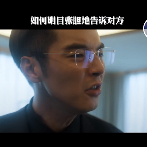 Succession继承者眼镜