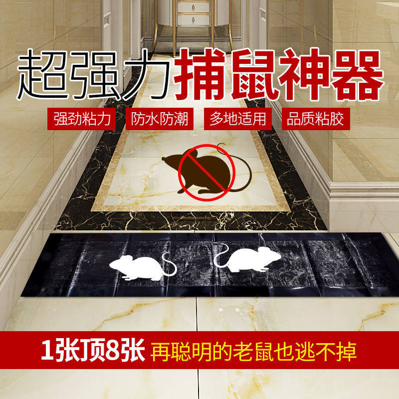 가정용 쥐잡이 스티커 강력 접착 마우스보드 쥐죽이는 마법양탄자 쥐잡이 유물 대형 마우스보드 쥐덫 둥지 한쪽 끝
