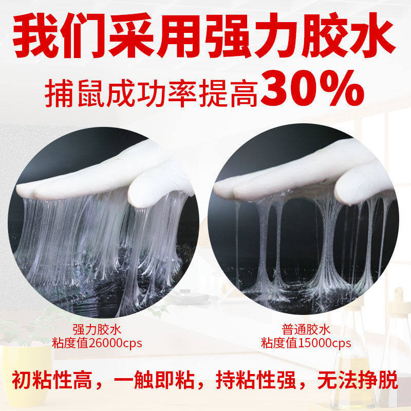 가정용 쥐잡이 스티커 강력 접착 마우스보드 쥐죽이는 마법양탄자 쥐잡이 유물 대형 마우스보드 쥐덫 둥지 한쪽 끝