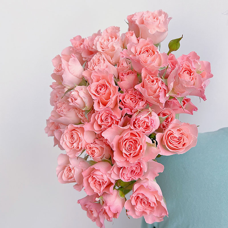 娇俏可爱粉色荧光色调人鱼公主多头玫瑰鲜花云南直发插花送花顺丰