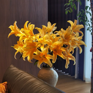 囍花 温暖迷人的香槟色香水百合 送妈妈家养闭眼入真的鲜花空运发