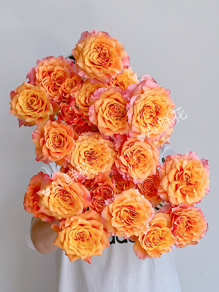 好养好开活力满满多头自由精灵玫瑰鲜花云南直发插花水养节日送花