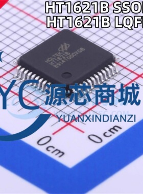 合泰 HT1621B HT1621 封装SSOP48 LQFP48 LQFP44 LCD液晶驱动芯片