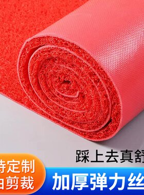 定做地垫入户门垫室外红地毯