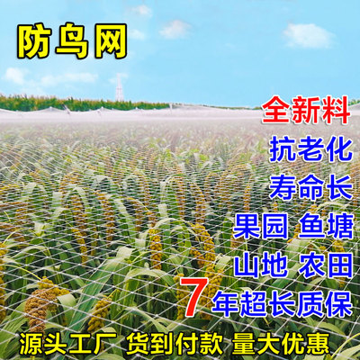 防鸟网全新料8年质保！量大优惠