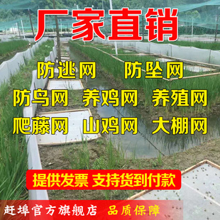 防鸟网尼龙网养鸡网山鸡网植物爬藤网体育球场网河道拦截拦污拦网