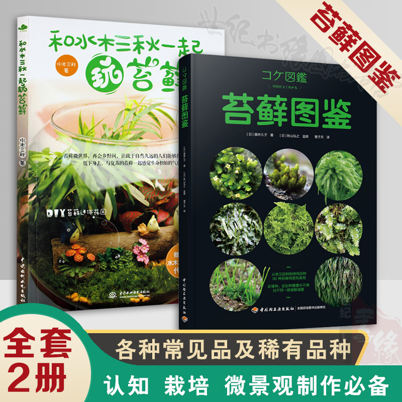 方法花卉价格 方法花卉图片 星期三 方法花卉价格 方法花卉图片 星期三