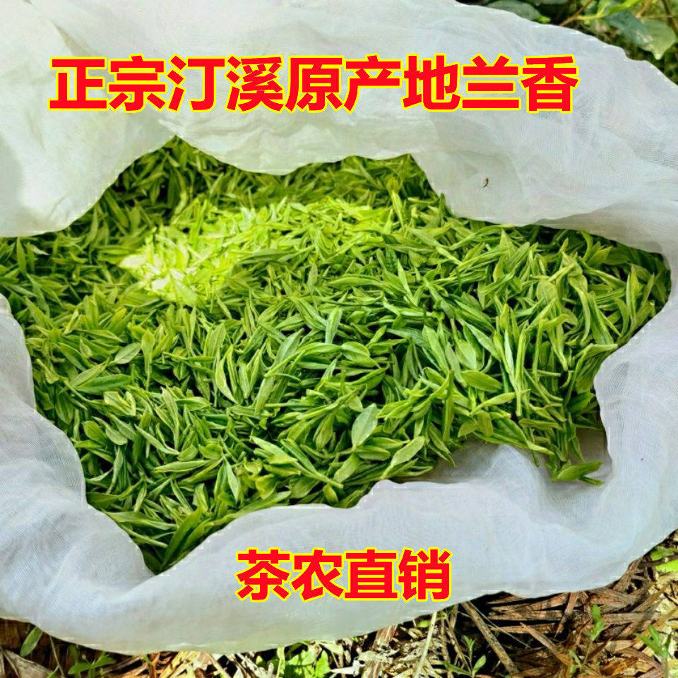 兰香茶产地,兰香茶_大山谷图库