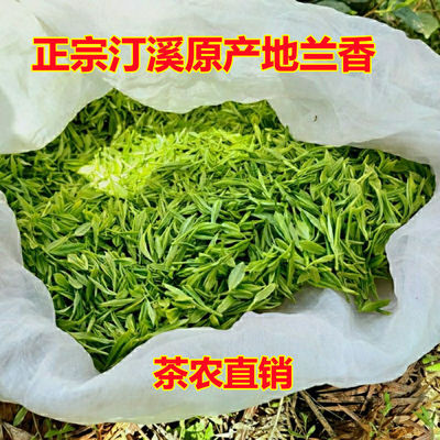 2025新茶雨前头采嫩芽安徽泾县汀溪原产地兰香茶 高山茶叶250g