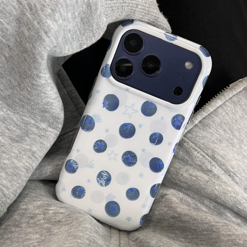 IPhone17promax千禧风镭射蓝莓