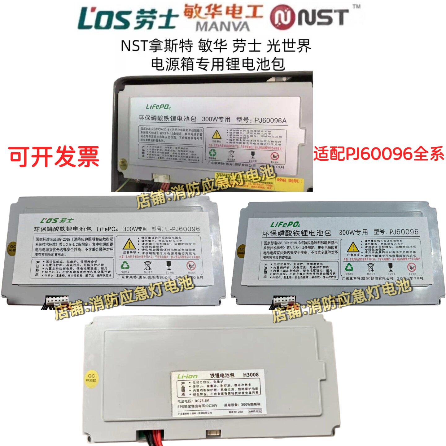 拿斯特300W专用PJ60096A敏华电工劳士H3008备用36V电源箱锂电池包