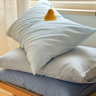 蓝夏季小清新纯色简约百搭纯棉枕套单只单人全棉学生枕头套一对装