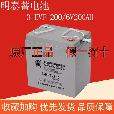 6V200AH蓄电池3-EVF-200明泰电瓶