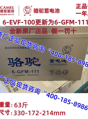 骆驼电池6-EVF-100更新为6-GFM-111 四轮电轿车 扫地机 12V100AH