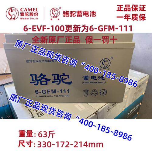 6-EVF-100骆驼电池四轮电动轿车