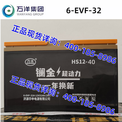万洋电瓶6-EVA-32A镧金HS12-40