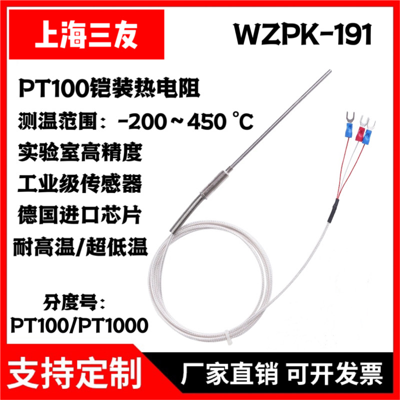 进口PT100铠装热电阻/WZPK-191温度传感器/PT1000温度探头/热电偶