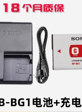 索尼DSC-T20 T100 WX1 WX10 HX10 HX30数码相机NP-BG1电池+充电器