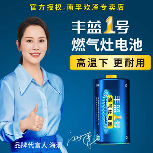 南孚丰蓝1号电池一号R20大号燃气灶煤气灶热水器电筒碳性电池1粒