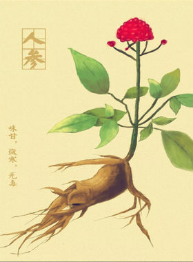 人参皂苷80%稀有人参皂苷人参总皂苷人参皂苷Rg3人参皂苷Rh2