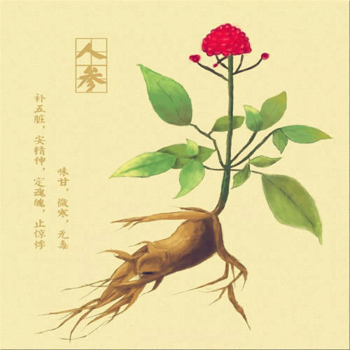 人参总皂苷Rh2人参皂苷Rg3抗衰老