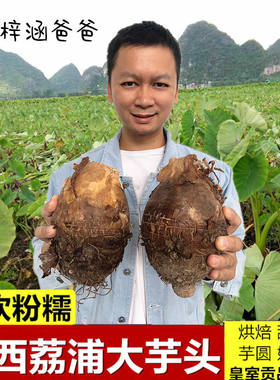 广西荔浦特大芋头9斤新鲜桂林农家香芋粉糯毛芋头艿粉蔬菜5斤10