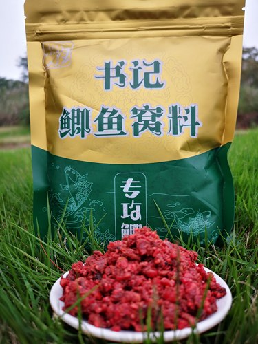 冬季长杆短线鲤鱼窝料