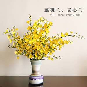 云南鲜花基地直发 跳舞兰 送女友文心兰家居客厅插花鲜花速递包邮