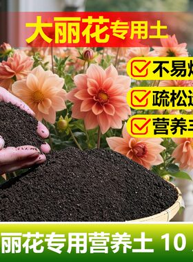 大丽花专用土料养殖种球根地瓜花苗小丽菊花肥种植营养土种植家用