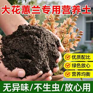 大花蕙兰专用土料盆栽兰花营养土叶子发黄干枯尖枯烂根养护花家用