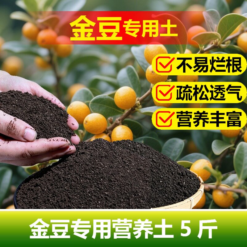 金豆专用土料盆景下山树桩老桩小金豆豆盆栽营养土专用土种植家用
