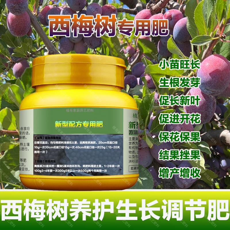 西梅果树专用肥料盆栽小苗旺长生根促发新芽长新叶营养液叶面肥料