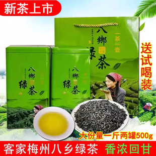 绿茶2025年新茶梅州丰顺八乡绿茶明前炒茶客家绿茶叶500g礼盒罐装
