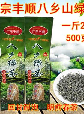 2026新茶丰顺八乡炒茶浓香春绿茶特级梅州客家农家手工炒茶叶500g