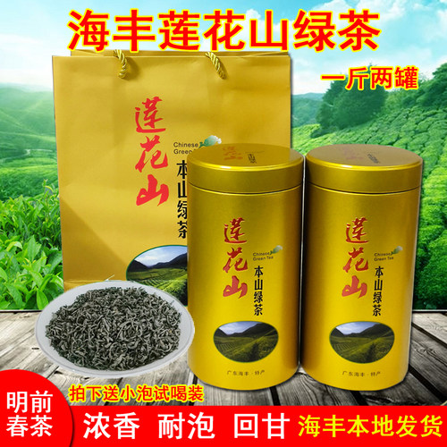 明前春茶海丰特产500g