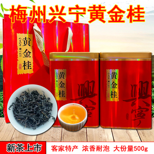 兴宁单枞茶黄金桂单丛浓香乌龙茶客家特产浓香新茶梅州茶叶500g罐