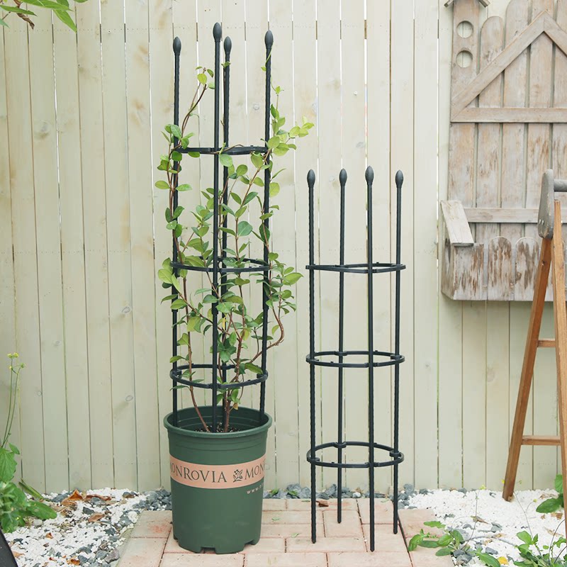 昙花架子支架固定花托架花卉专用架爬藤植物支撑杆月季防倒铁线莲