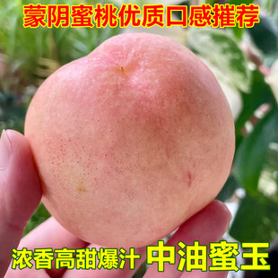 白油桃新鲜水果中油蜜玉软甜爆汁山东蒙阴蜜桃当季现摘白玉油桃